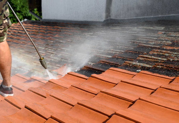 Best Roof Pressure Washing  in Grafton, OH